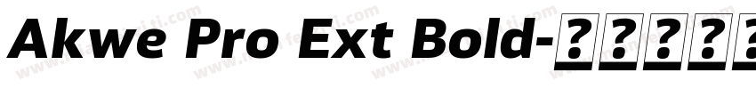 Akwe Pro Ext Bold字体转换